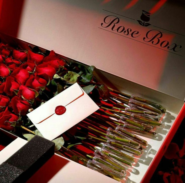 Beloved LOVE TRINITY